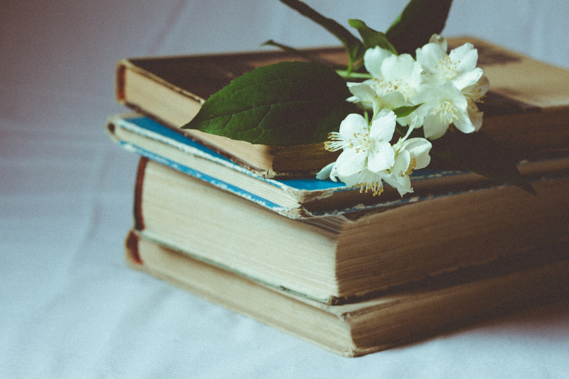 Old Books stack with flowers